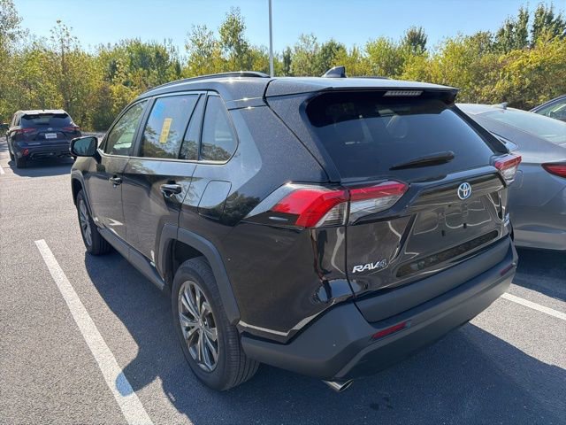 2024 Toyota RAV4 Hybrid XLE Premium photo 3