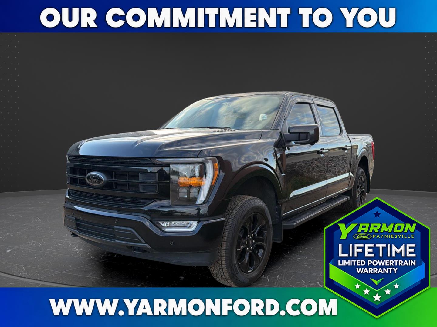 Used 2023 Ford F-150 XLT with VIN 1FTFW1E51PFC77881 for sale in Paynesville, Minnesota