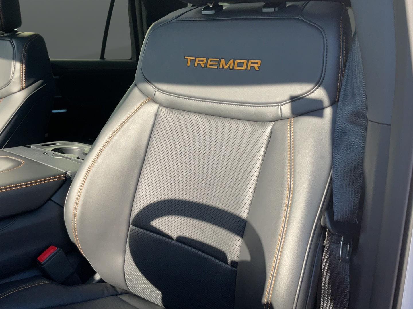 2025 Ford Expedition Tremor - Photo 24