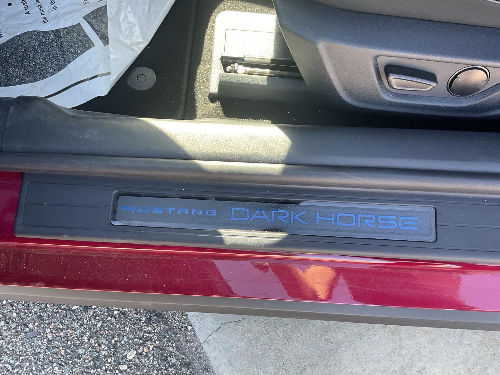 2025 Ford Mustang Dark Horse - Photo 13