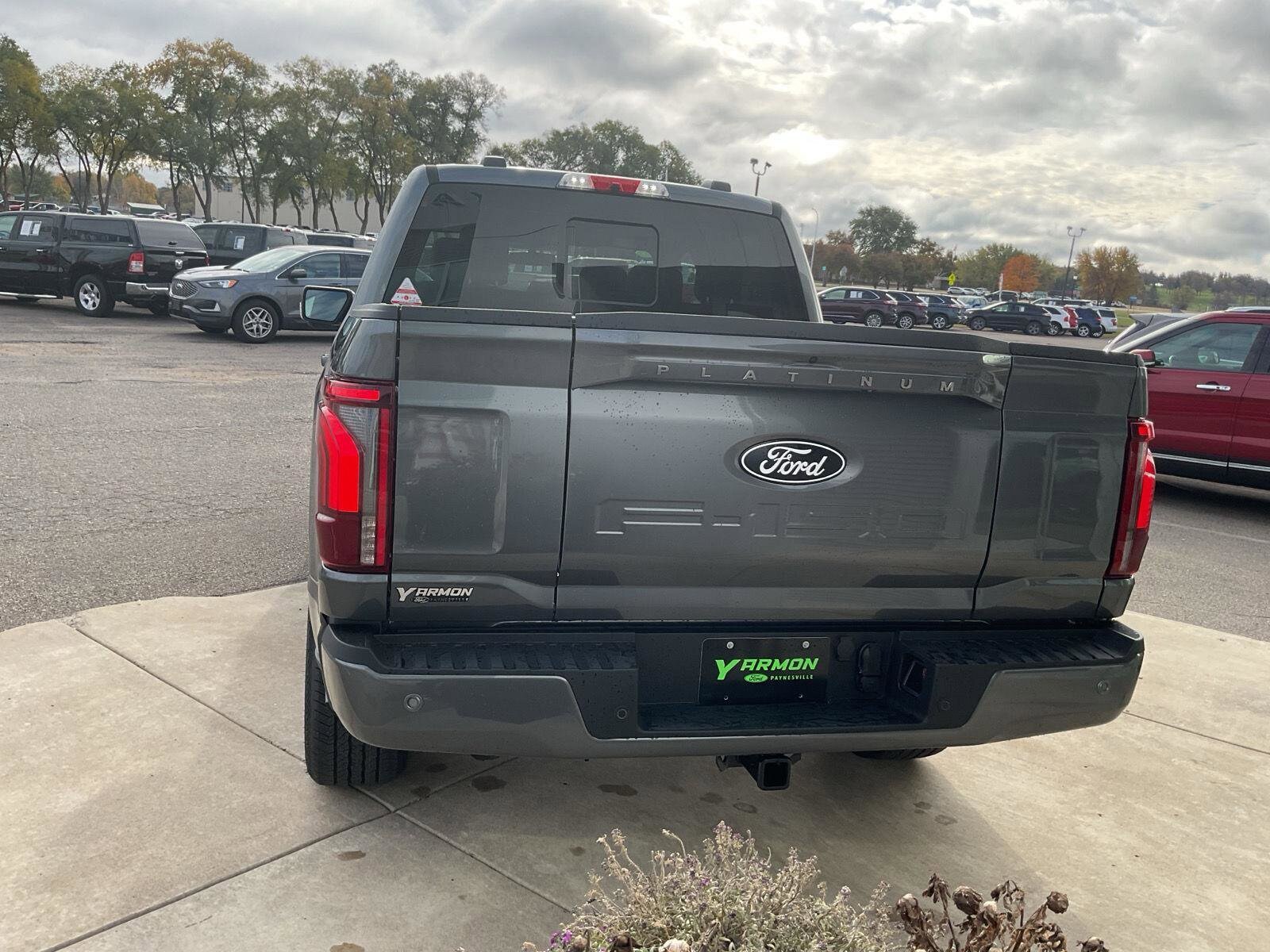 2025 Ford F-150 Platinum photo 3