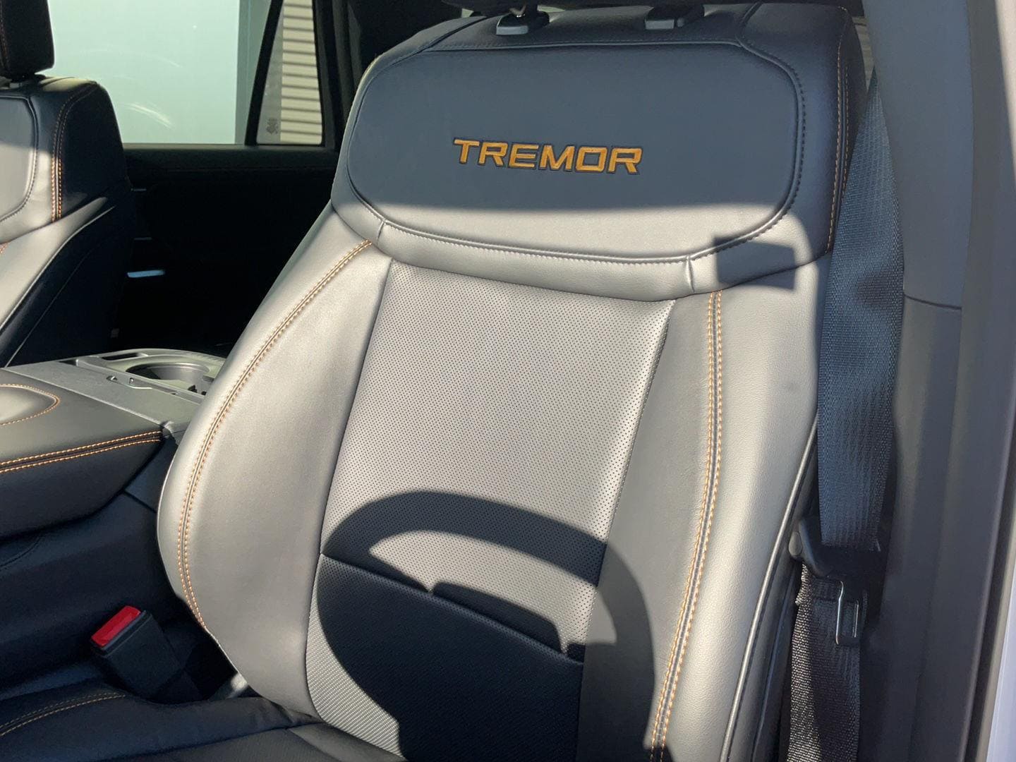 2025 Ford Expedition Tremor - Photo 29