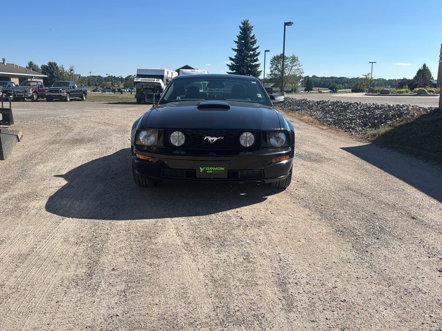 Used 2007 Ford Mustang GT Deluxe with VIN 1ZVHT82H775300947 for sale in Paynesville, Minnesota