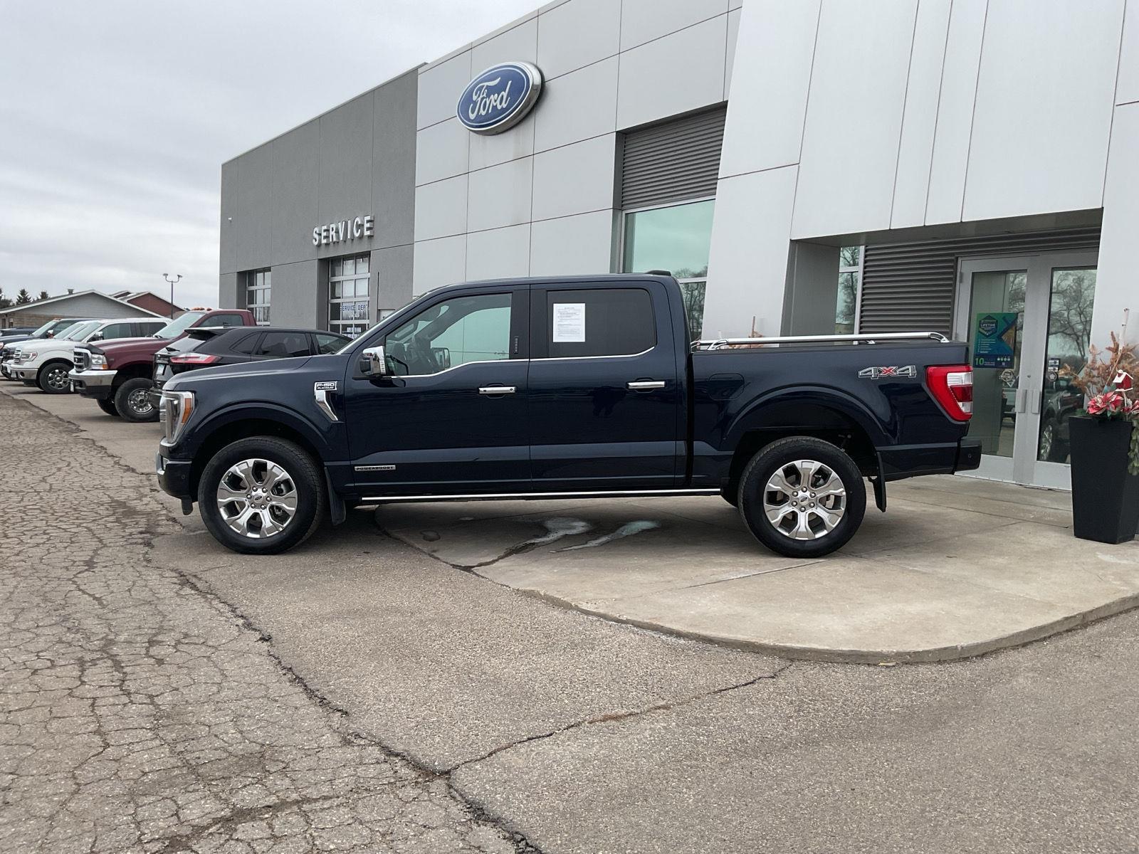 Used 2022 Ford F-150 Platinum with VIN 1FTFW1ED2NFC22828 for sale in Paynesville, Minnesota