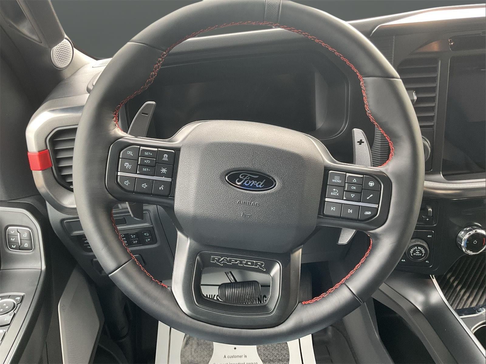 2025 Ford F-150 Raptor - Photo 15