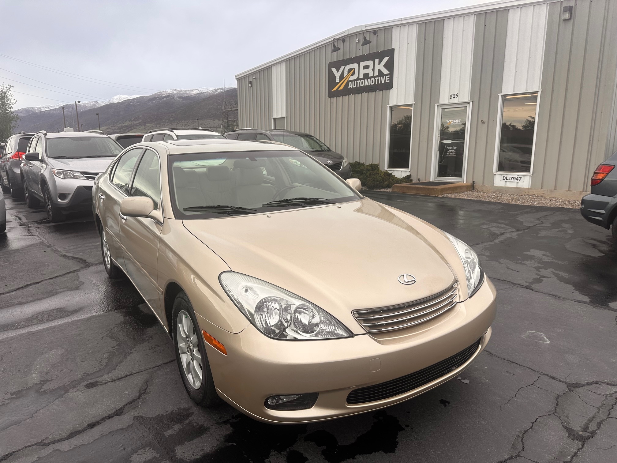2004 Lexus ES 330