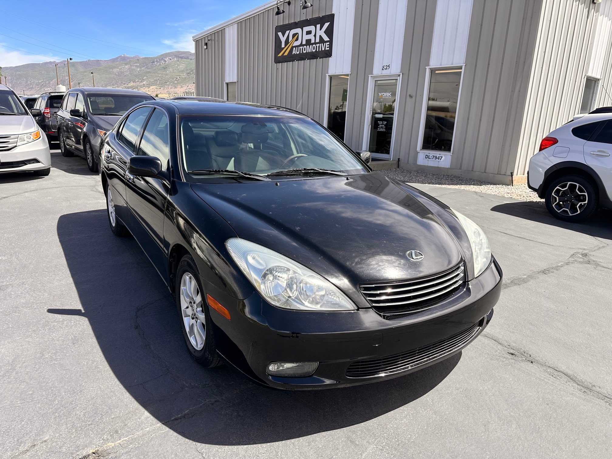 2004 Lexus ES 350's photo