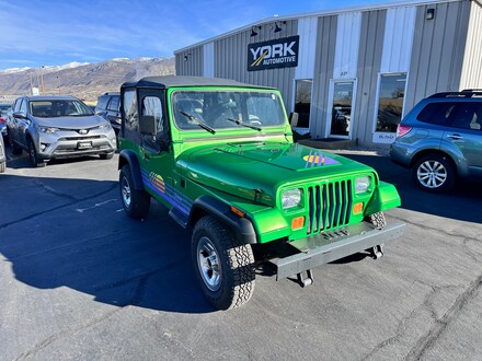 1993 Jeep Wrangler Base SUV