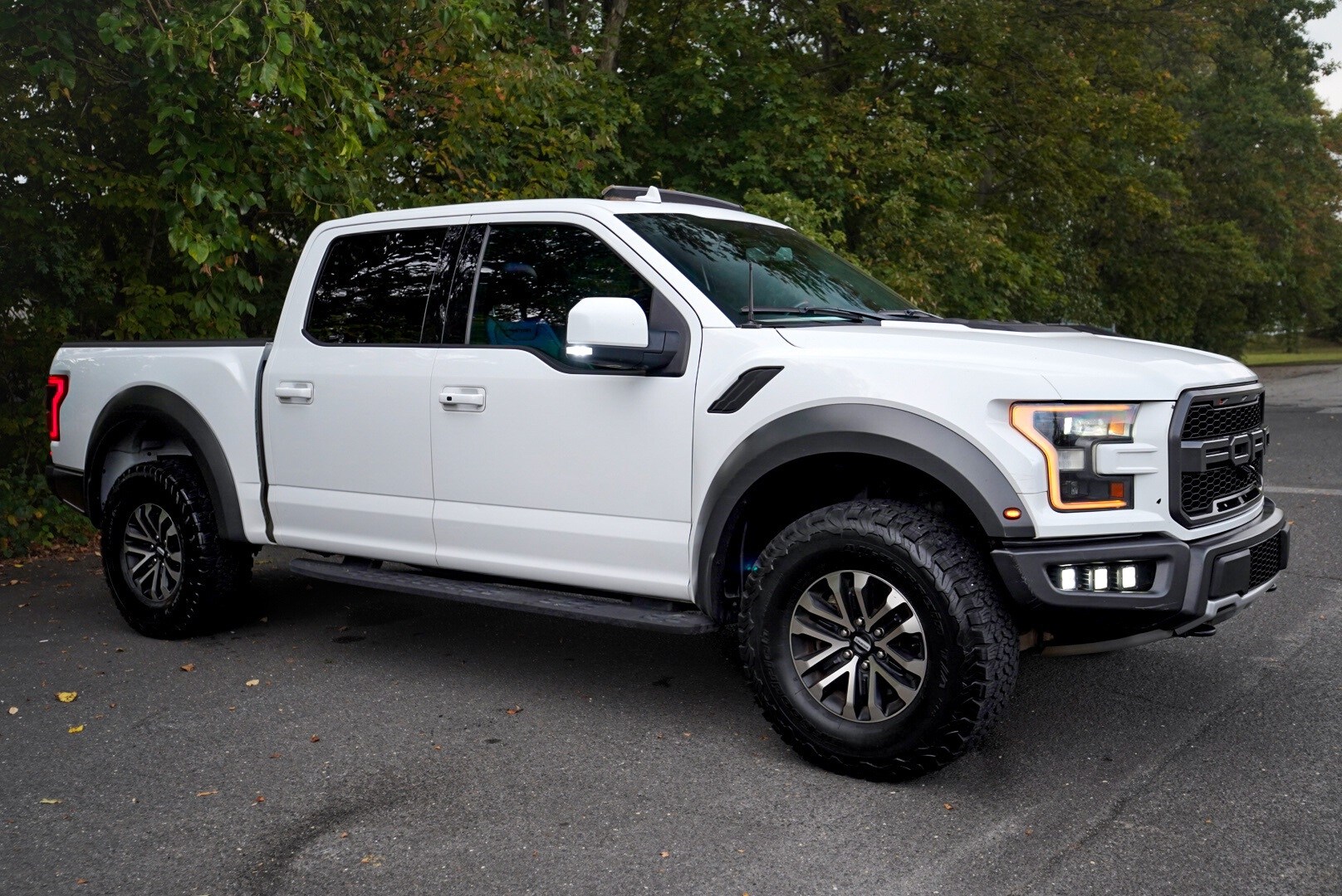 2019 Ford F-150 Raptor photo 4