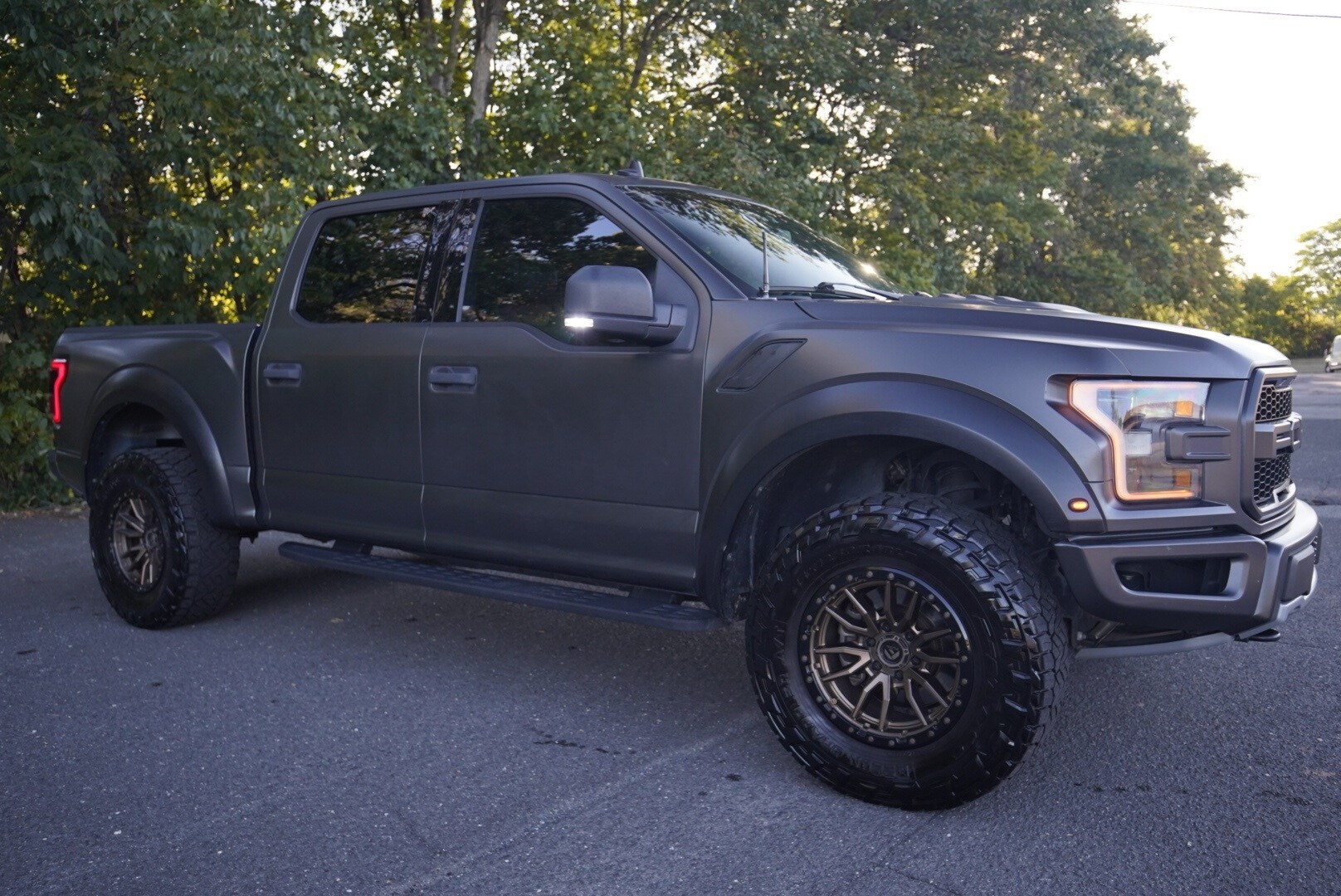 2019 Ford F-150 Raptor photo 4