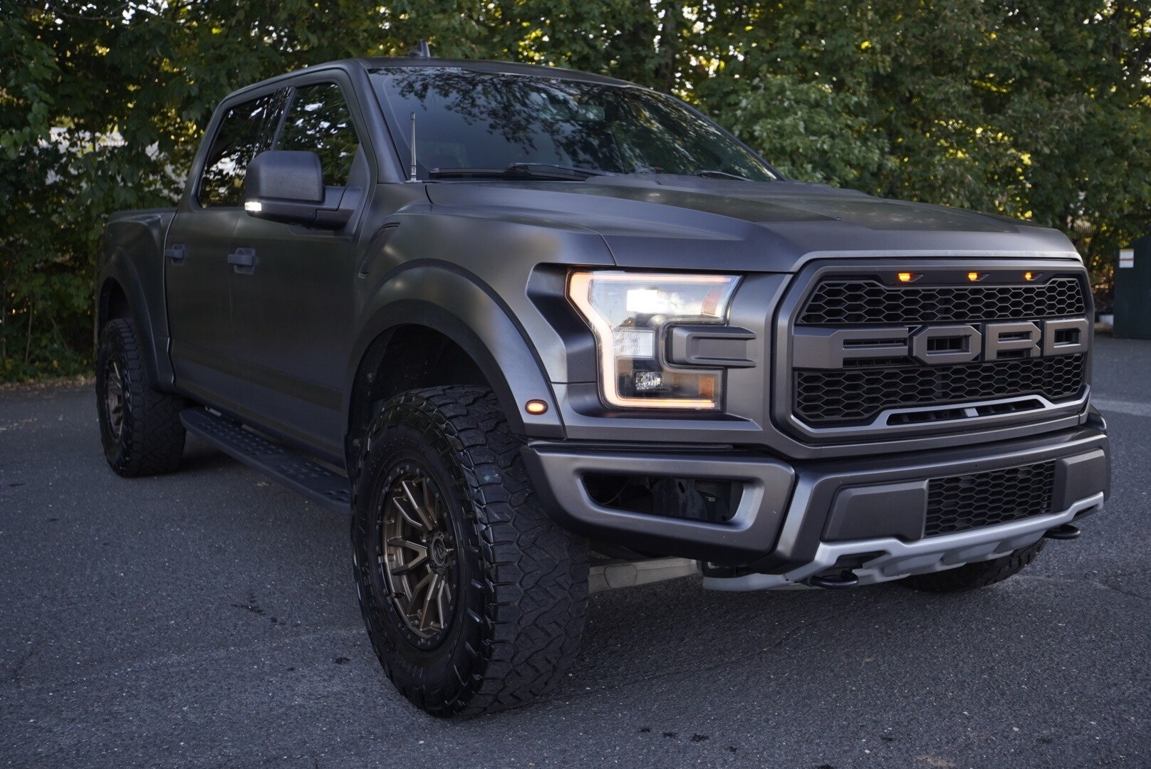 2019 Ford F-150 Raptor photo 3