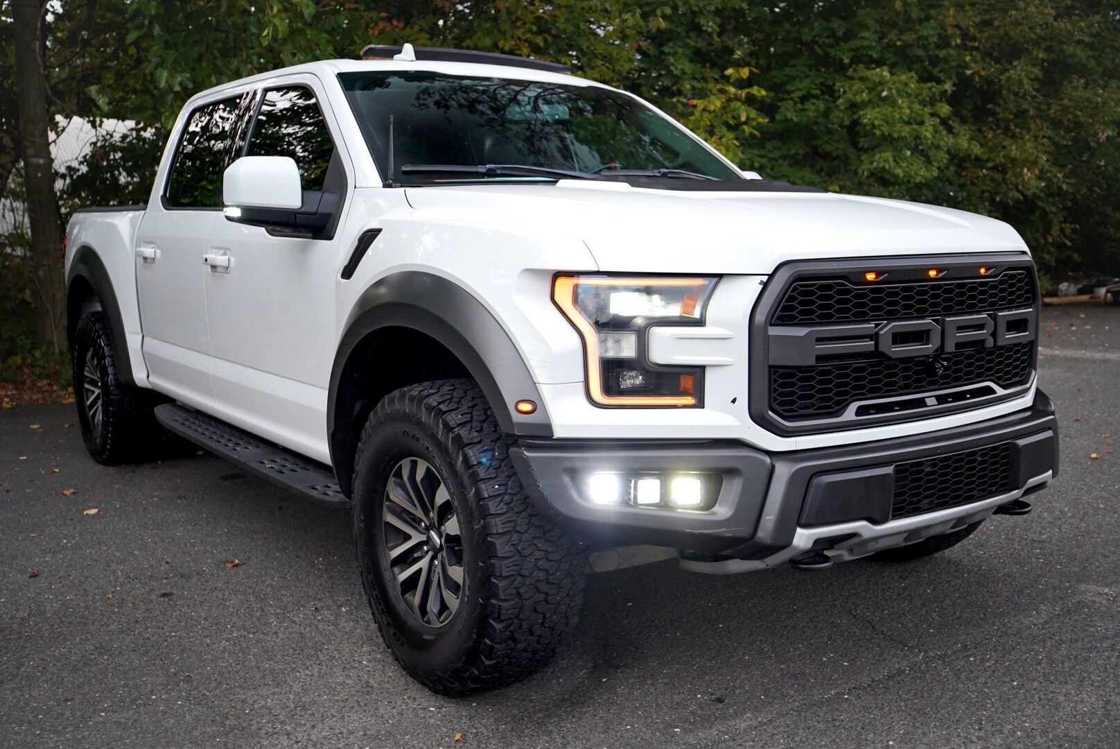 2019 Ford F-150 Raptor photo 3