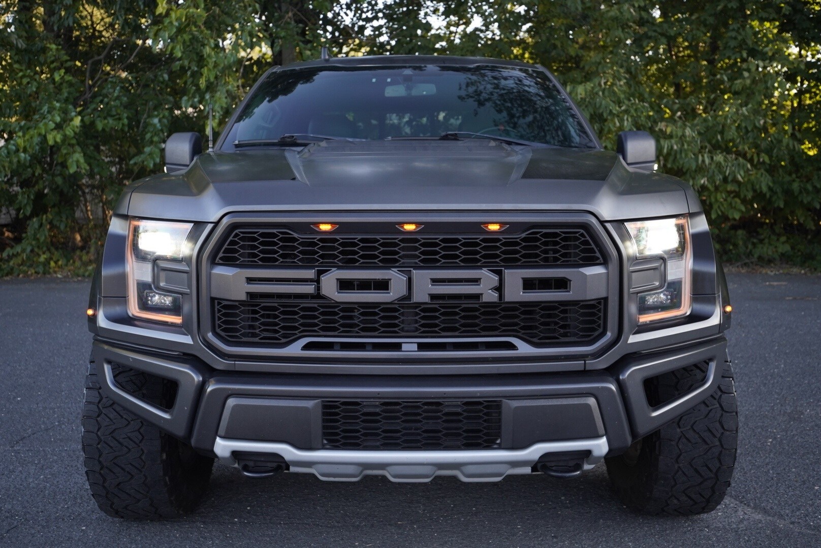 2019 Ford F-150 Raptor photo 2