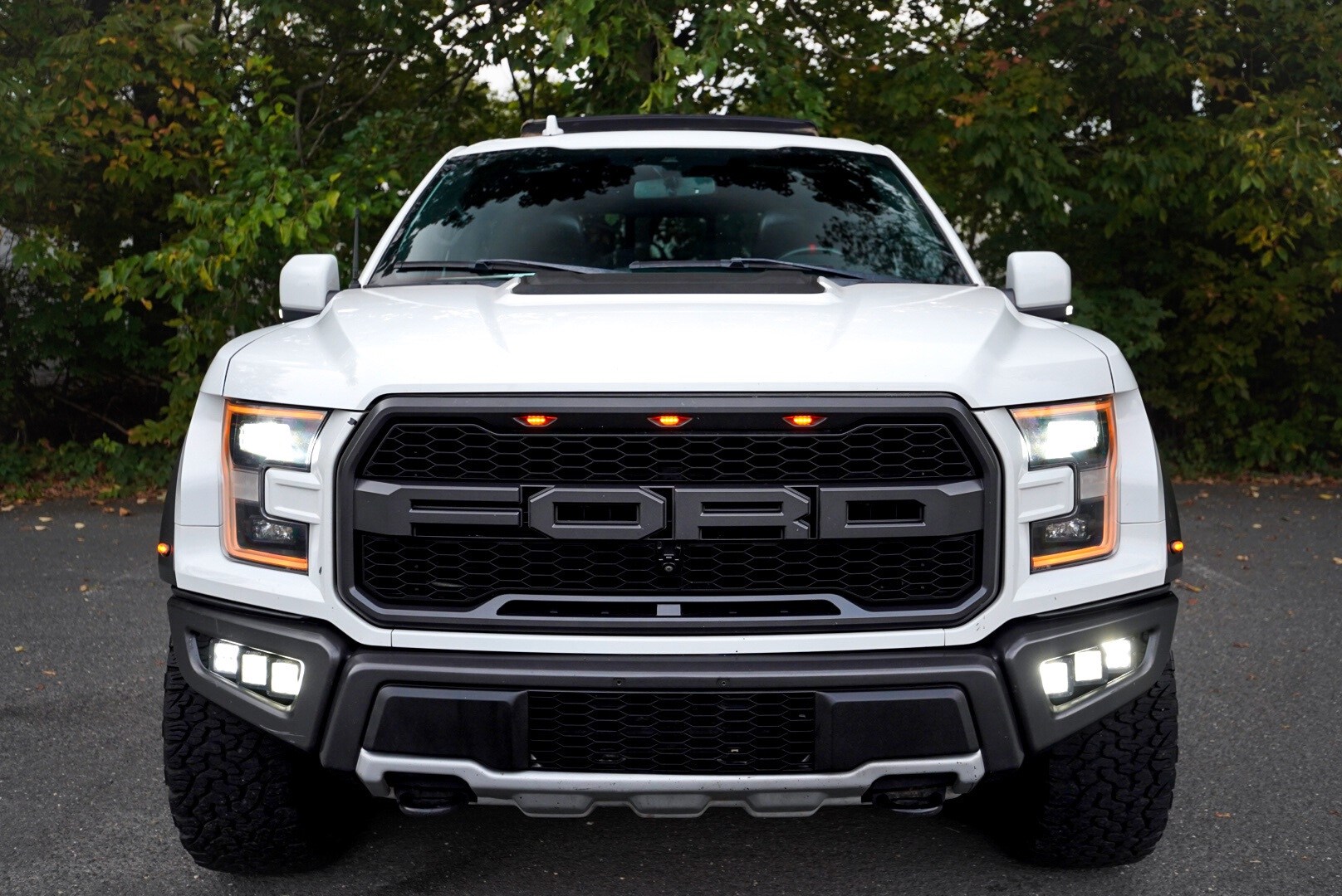 2019 Ford F-150 Raptor photo 2