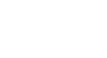 Young Auto Luxury