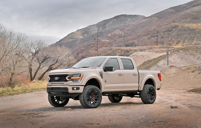 2025 Ford F-150 XLT's photo