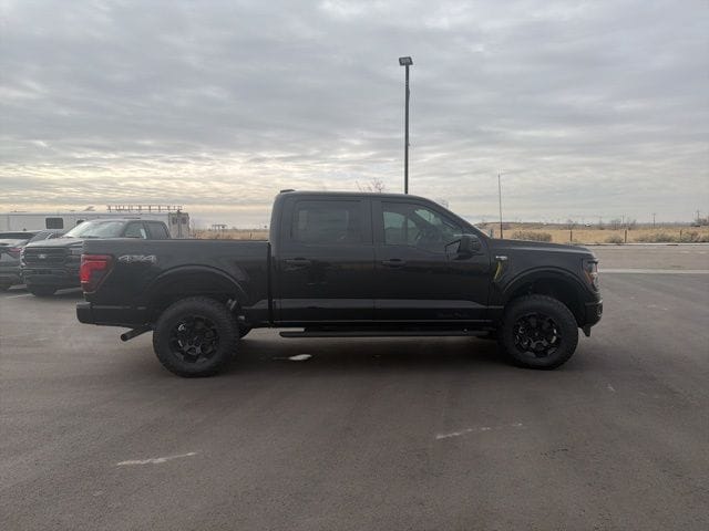 2025 Ford F-150 STX - Photo 6