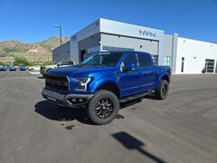 2017 Ford F-150 Raptor Truck