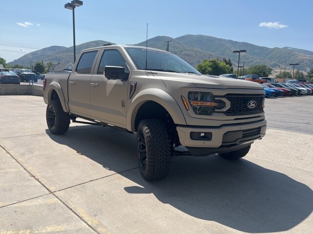 2025 Ford F-150 XLT photo 3
