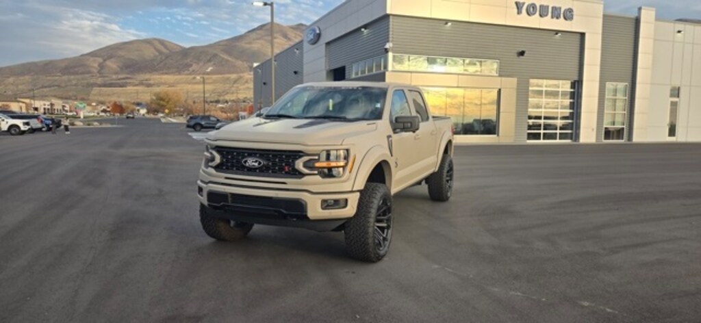 New 2025 Ford F-150 XLT Truck