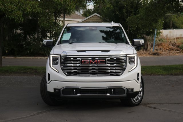2023 Gmc Sierra 1500 Denali photo 2