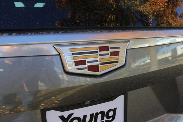 2021 Cadillac Escalade ESV Premium Luxury photo 4