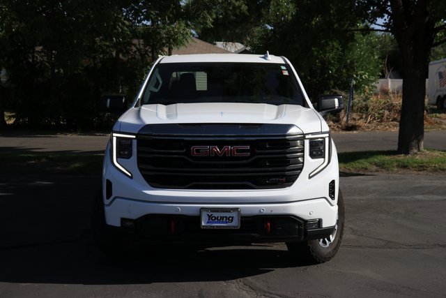 2023 Gmc Sierra 1500 AT4 photo 2