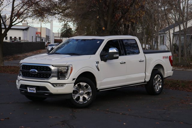 2022 Ford F-150 Platinum's photo