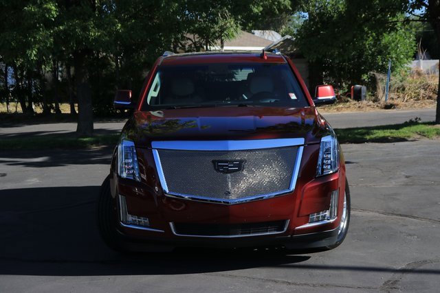 2019 Cadillac Escalade Premium Luxury photo 2