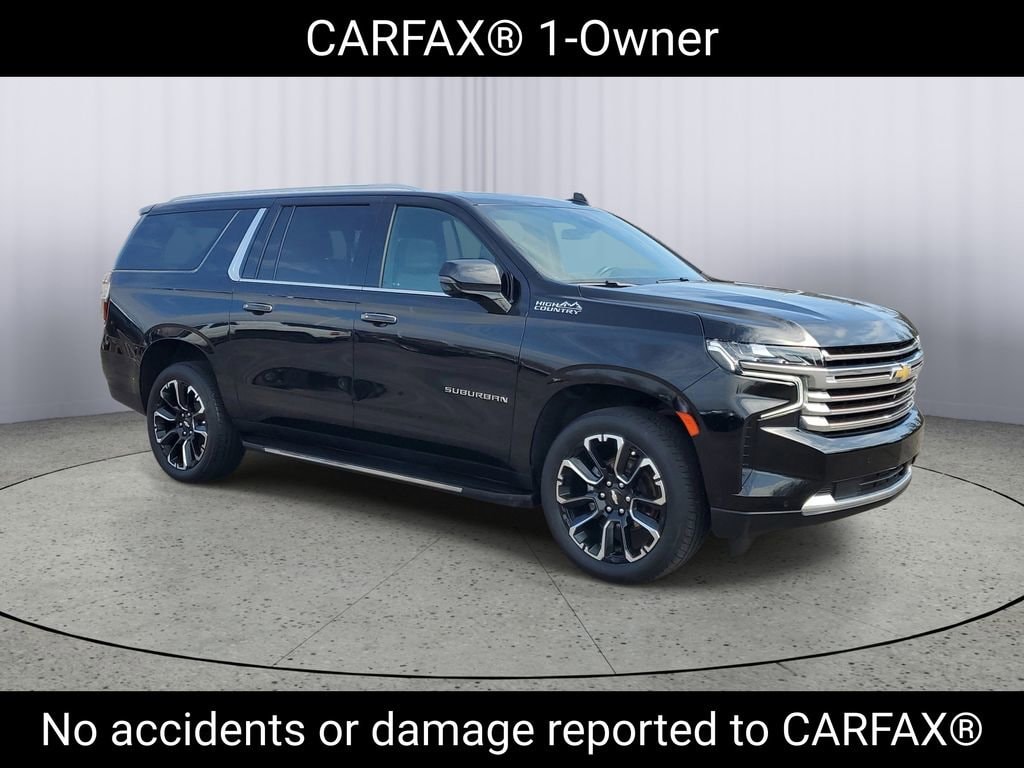 1GNSKGKLXPR416198