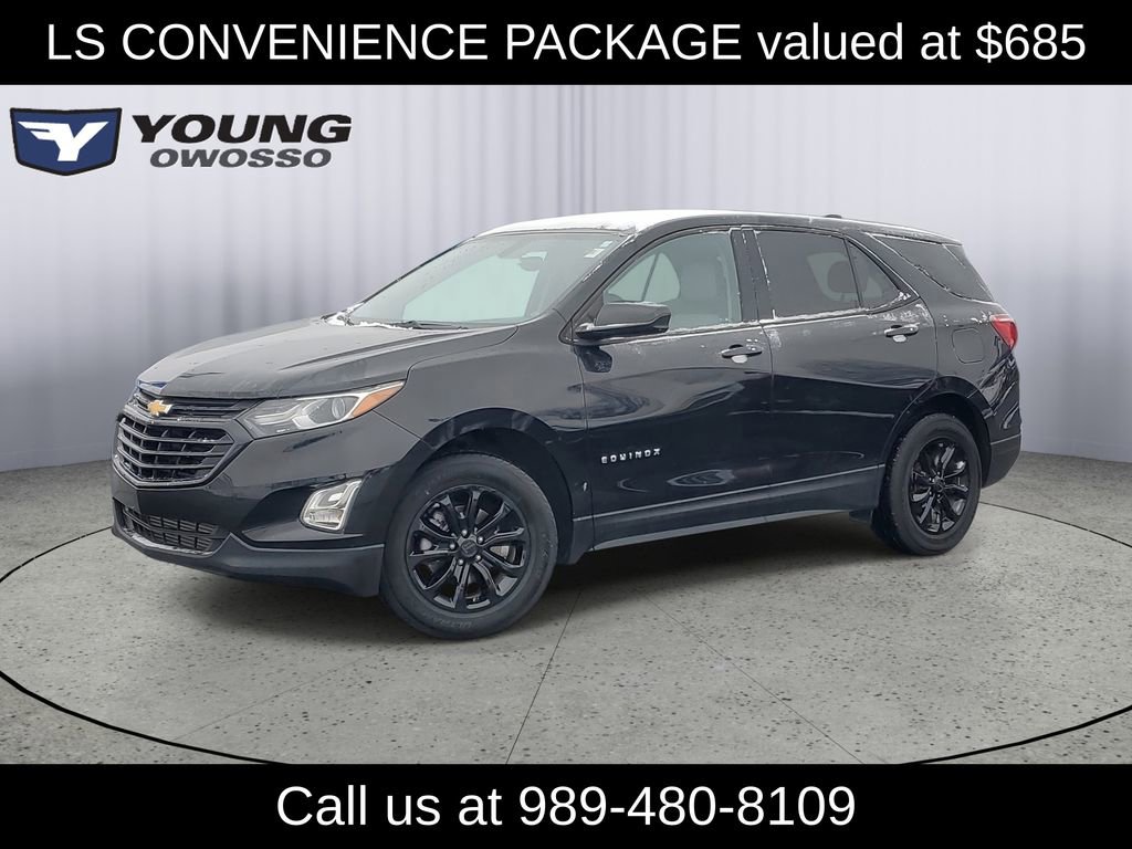 2019 Chevrolet Equinox LS's photo