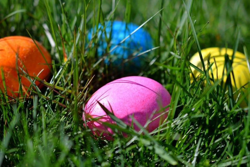 Easter Duck Hunt Event