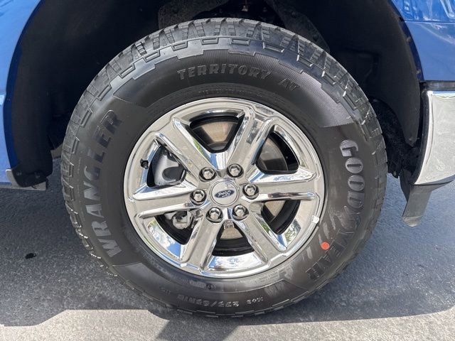 2025 Ford F-150 XLT - Photo 9