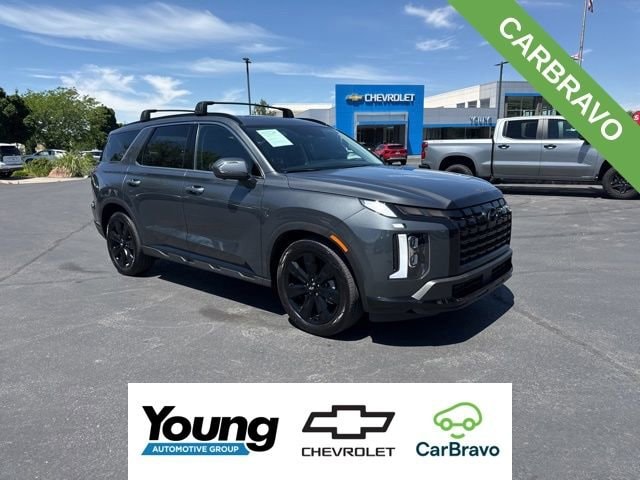 2025 Hyundai Palisade XRT AWD's photo