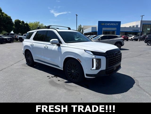 2025 Hyundai Palisade Calligraphy Night Edition AWD's photo