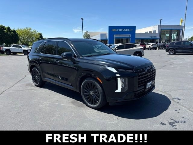 2024 Hyundai Palisade Calligraphy Night Edition AWD's photo