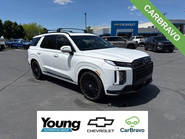 2025 Hyundai Palisade Calligraphy Night Edition AWD's photo