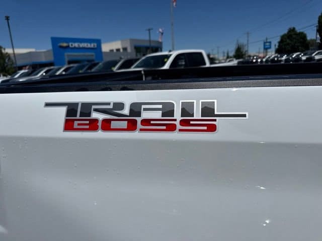 2020 Chevrolet Silverado 1500 LT Trail Boss - Photo 12