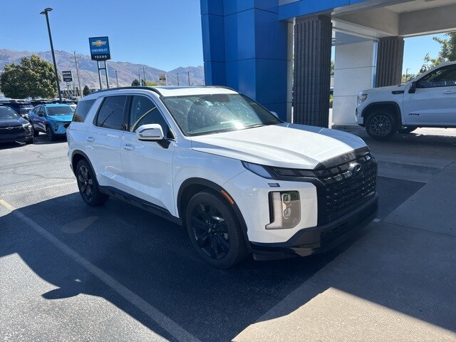 2024 Hyundai Palisade XRT photo 2