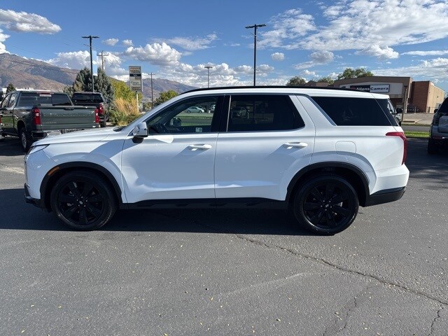 2024 Hyundai Palisade XRT photo 4