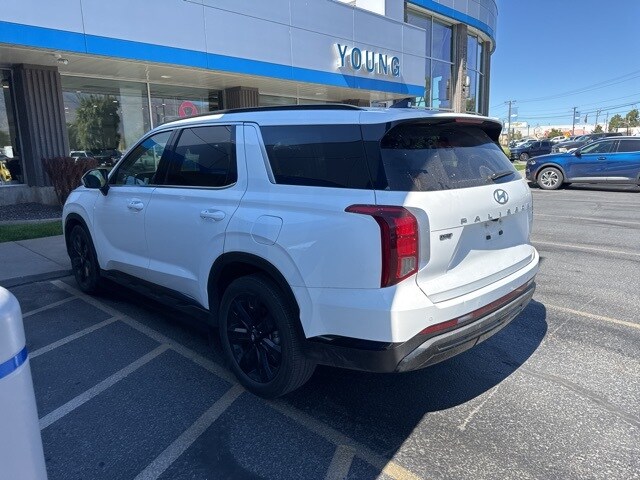 2024 Hyundai Palisade XRT photo 4
