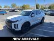 Used 2024 Hyundai Palisade XRT SUV