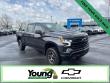 Used 2022 Chevrolet Silverado 1500 LT Trail Boss Truck Crew Cab