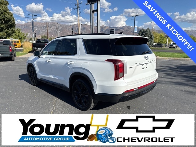 2024 Hyundai Palisade XRT photo 4