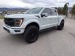 Used 2023 Ford F-150 Raptor Truck SuperCrew Cab