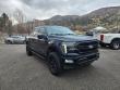 Used 2024 Ford F-150 Lariat Truck SuperCrew Cab