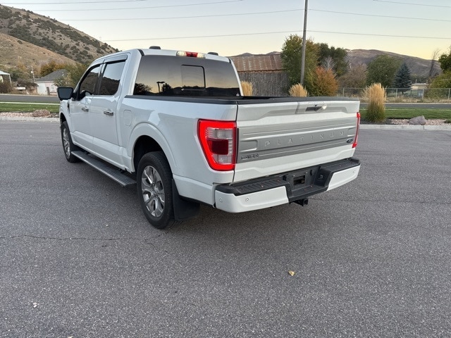 2021 Ford F-150 Platinum photo 4