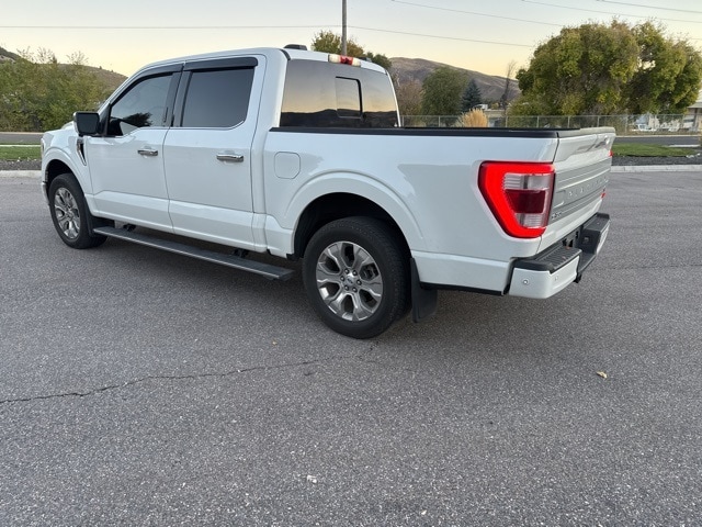 2021 Ford F-150 Platinum photo 3