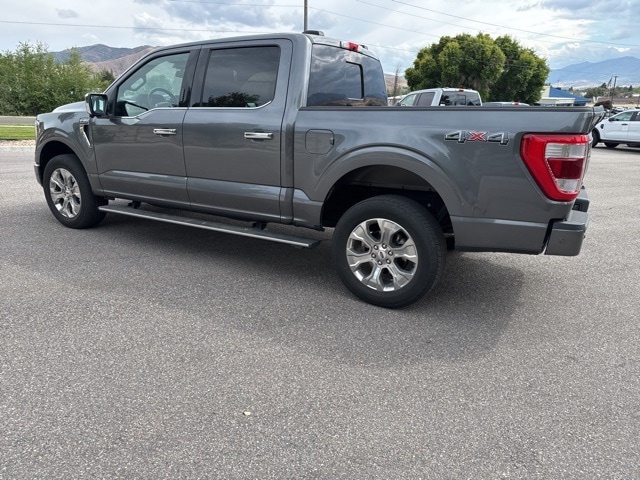2023 Ford F-150 Platinum photo 3