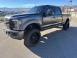 Used 2019 Ford F-350 Platinum Truck Crew Cab